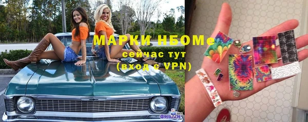 стаф Аркадак