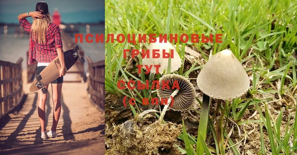 не бодяженный Арсеньев