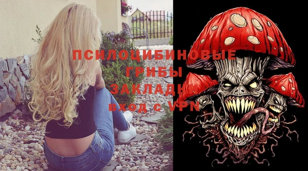 эйфоретик Алексин